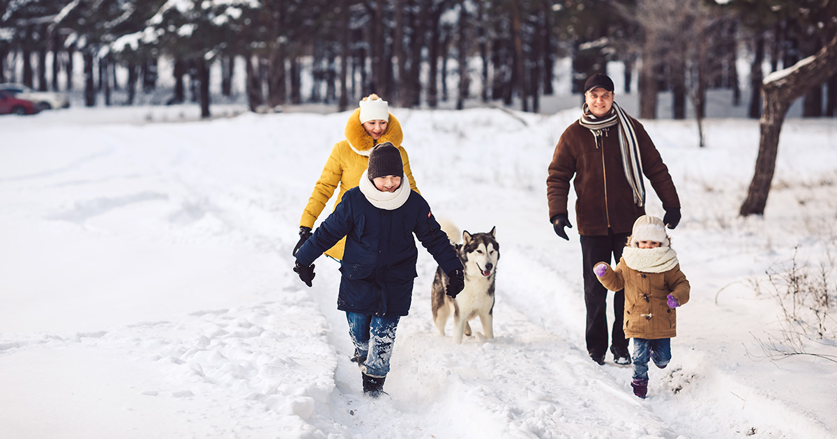 Oil Heater Safety Precautions: Protecting Your Home and Family.